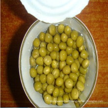 Factory Price Canned Green Peas in Tin